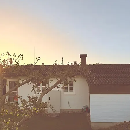 Sieben In An Der Schlei *